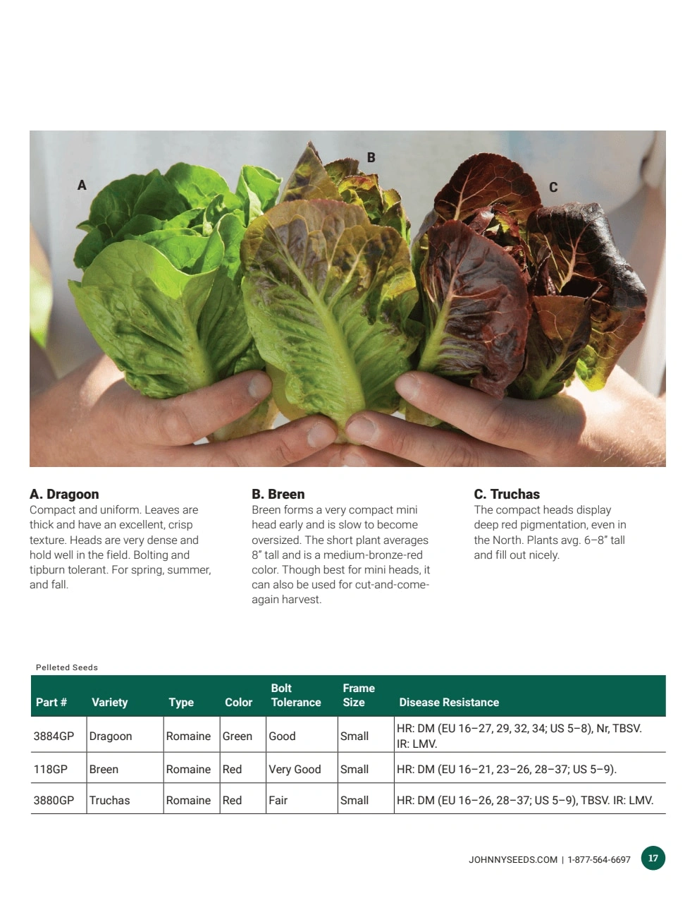 Johnny's Selected Seeds flyer page 17