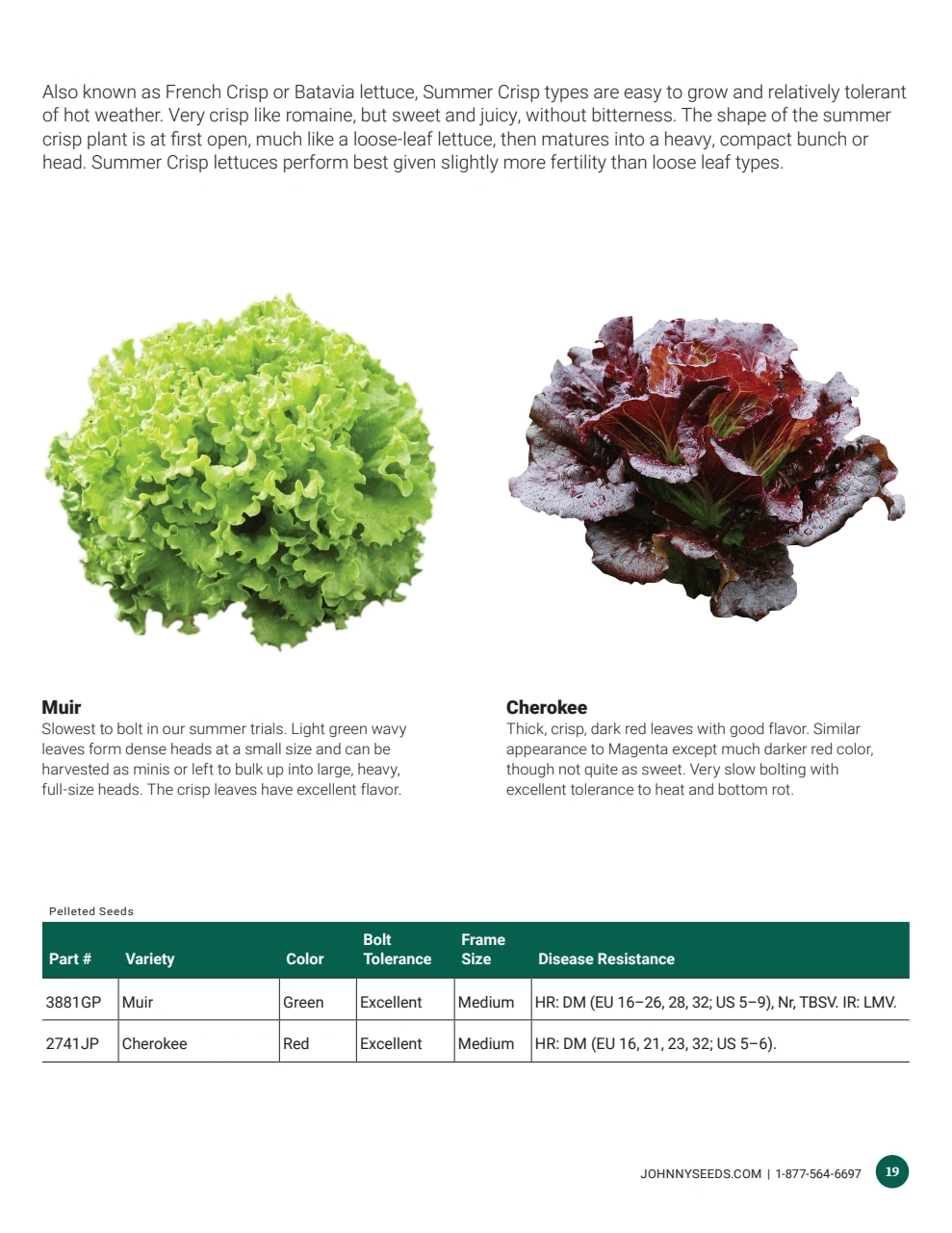 Johnny's Selected Seeds flyer page 19