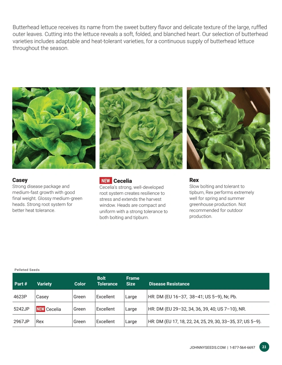 Johnny's Selected Seeds flyer page 21