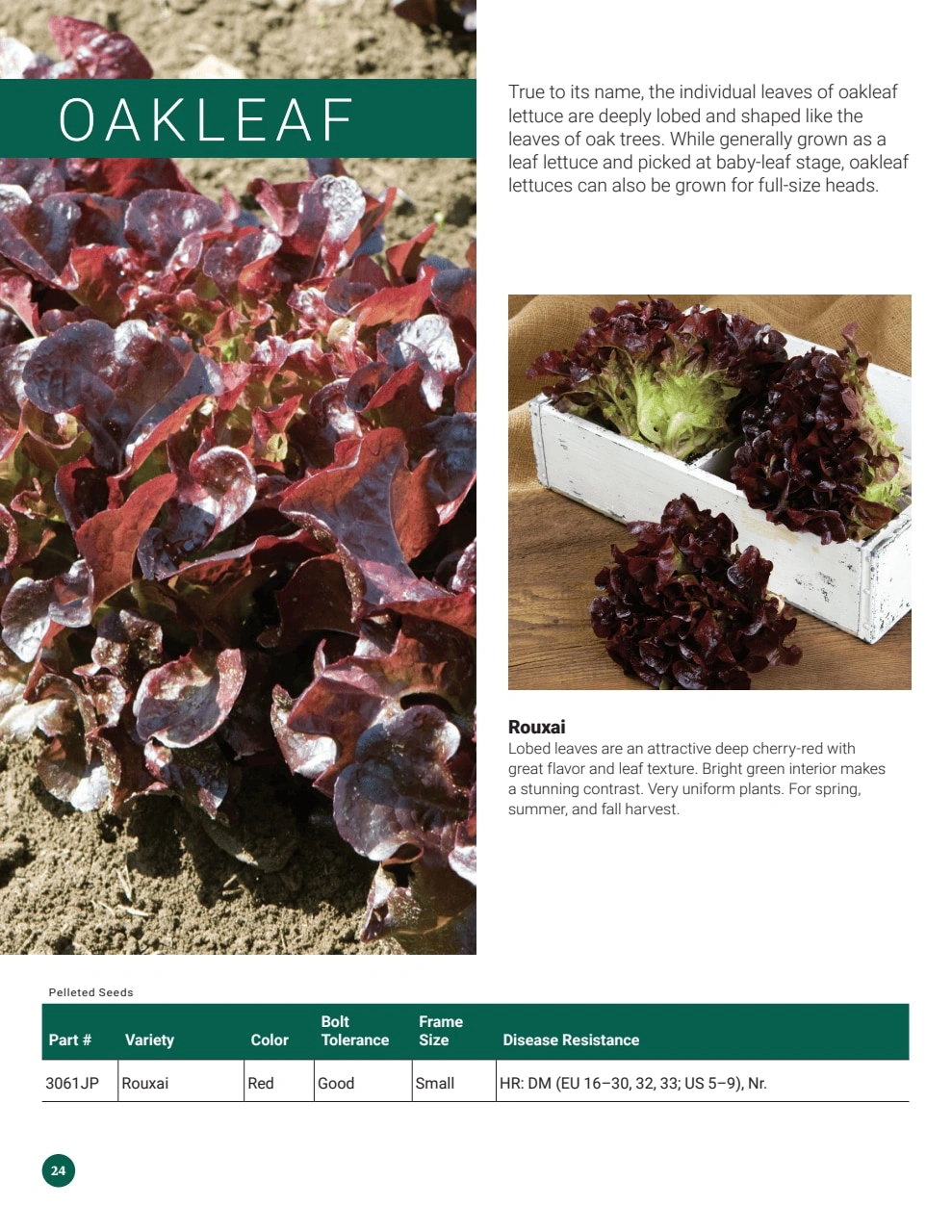 Johnny's Selected Seeds flyer page 24