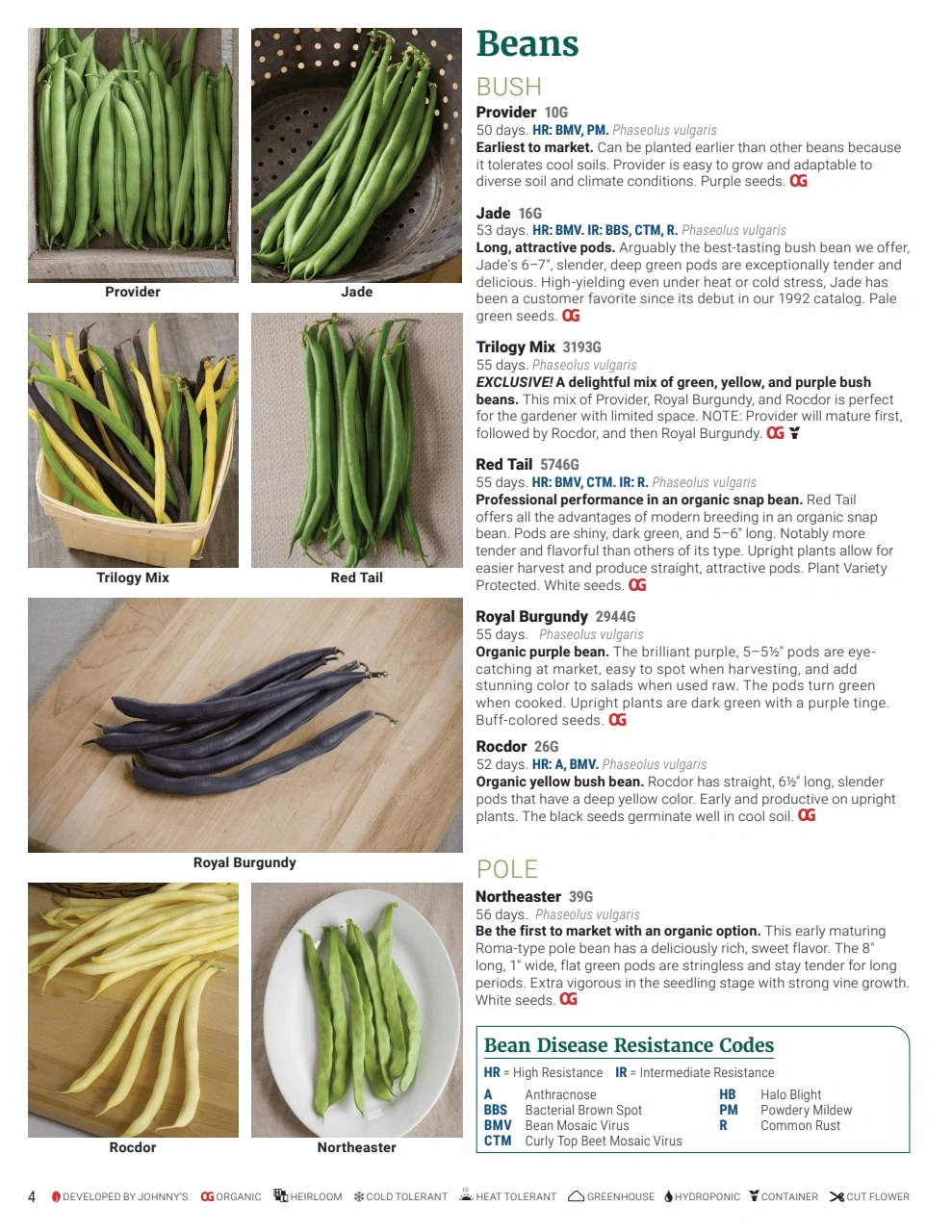 Johnny's Selected Seeds flyer page 4