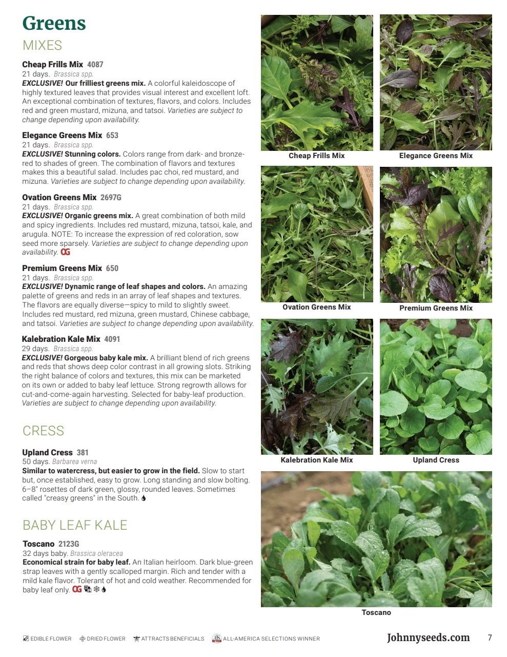 Johnny's Selected Seeds flyer page 7