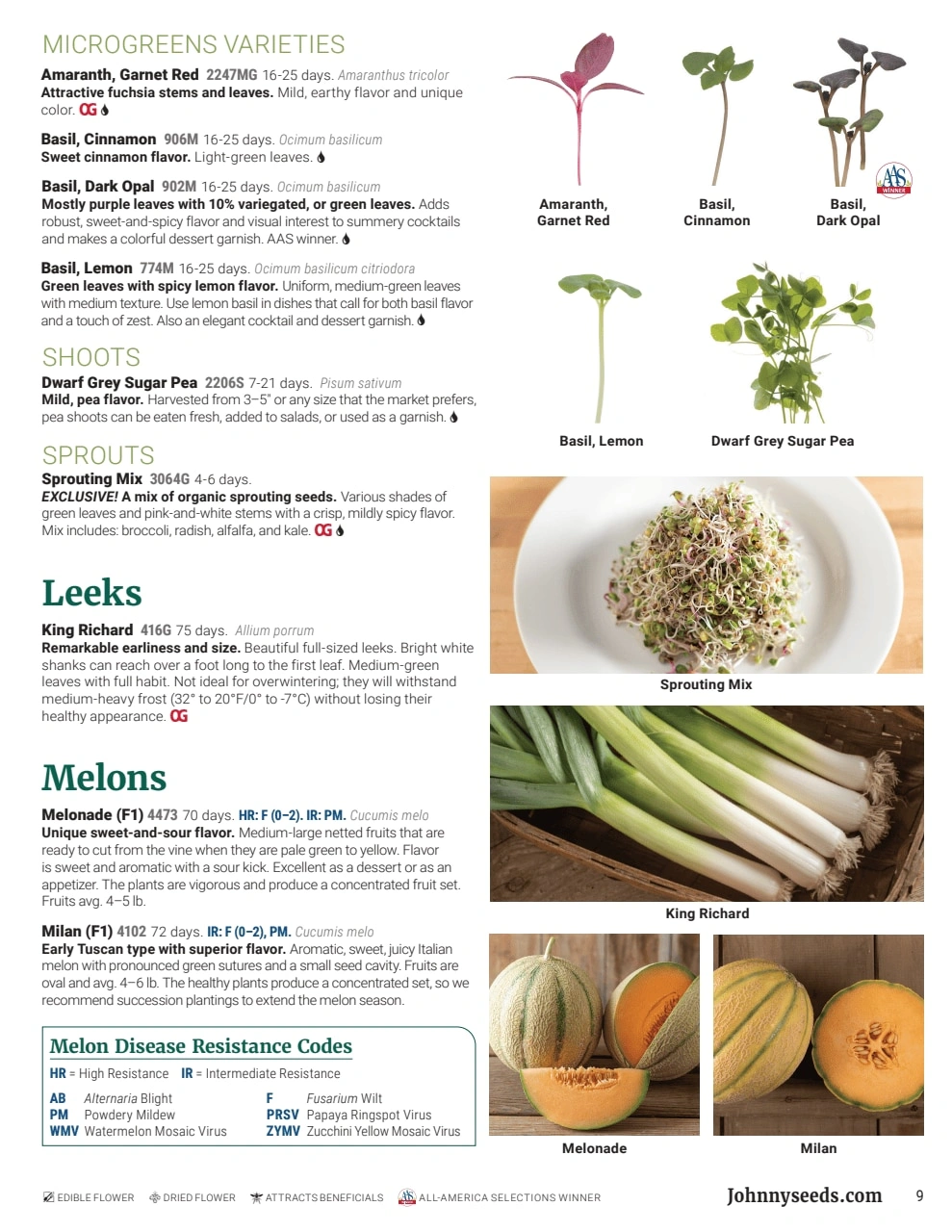 Johnny's Selected Seeds flyer page 9