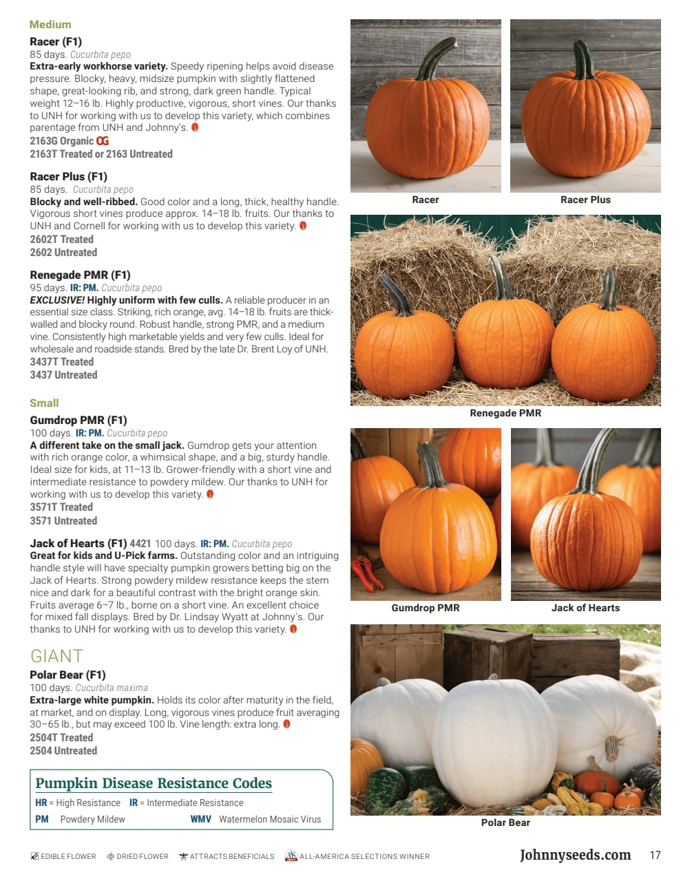 Johnny's Selected Seeds flyer page 17