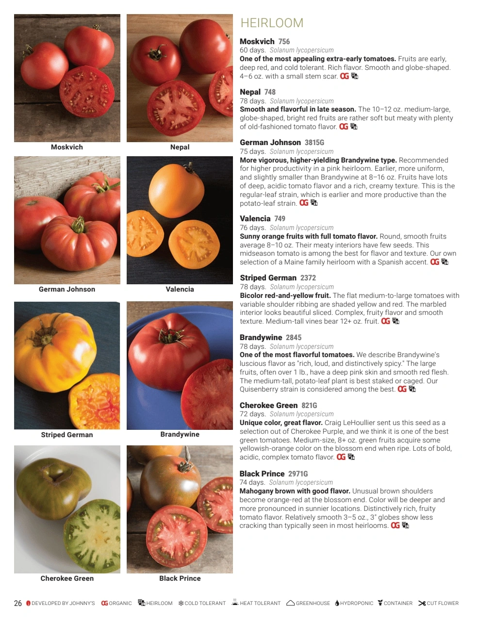 Johnny's Selected Seeds flyer page 26