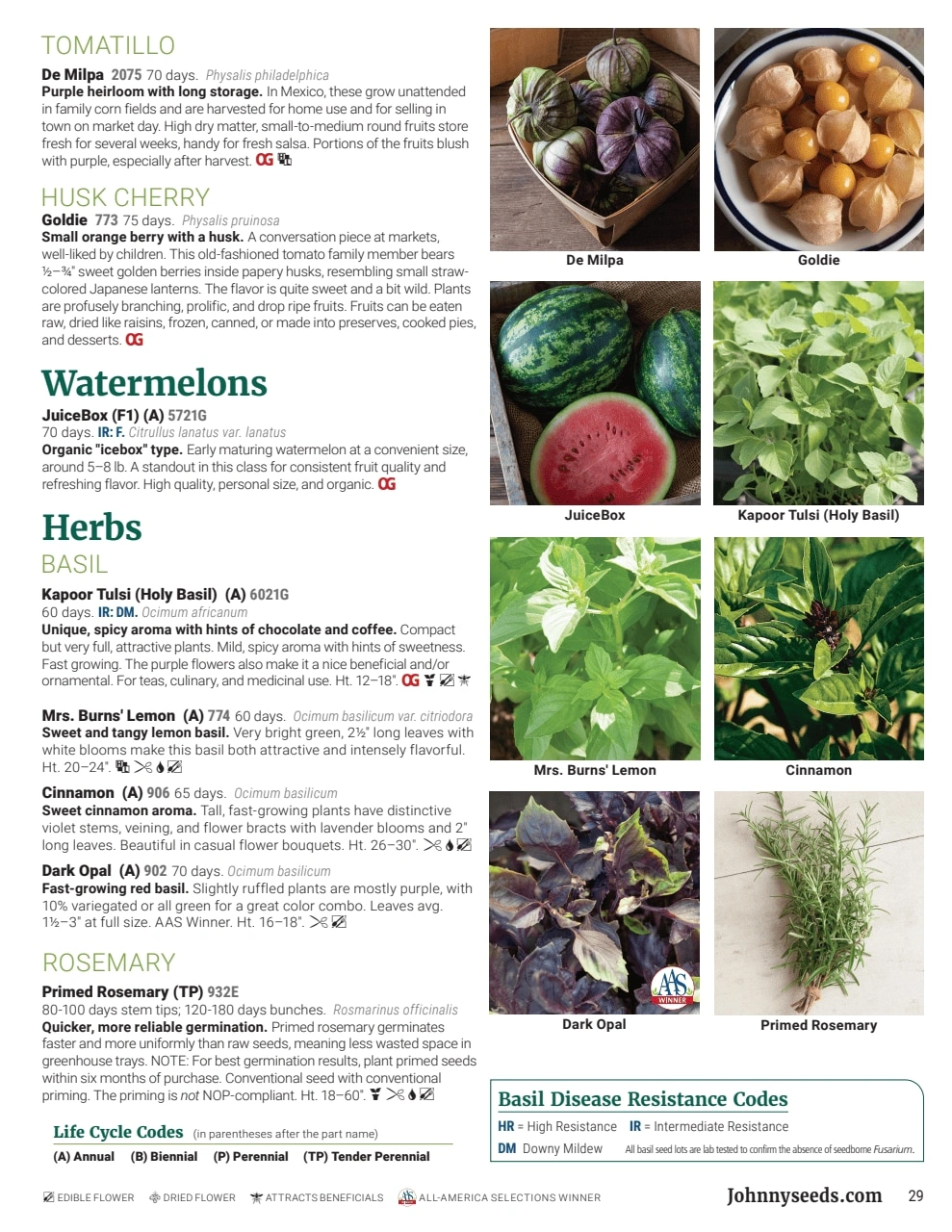 Johnny's Selected Seeds flyer page 29