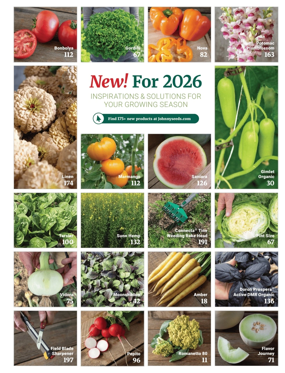 Johnny's Selected Seeds flyer page 2