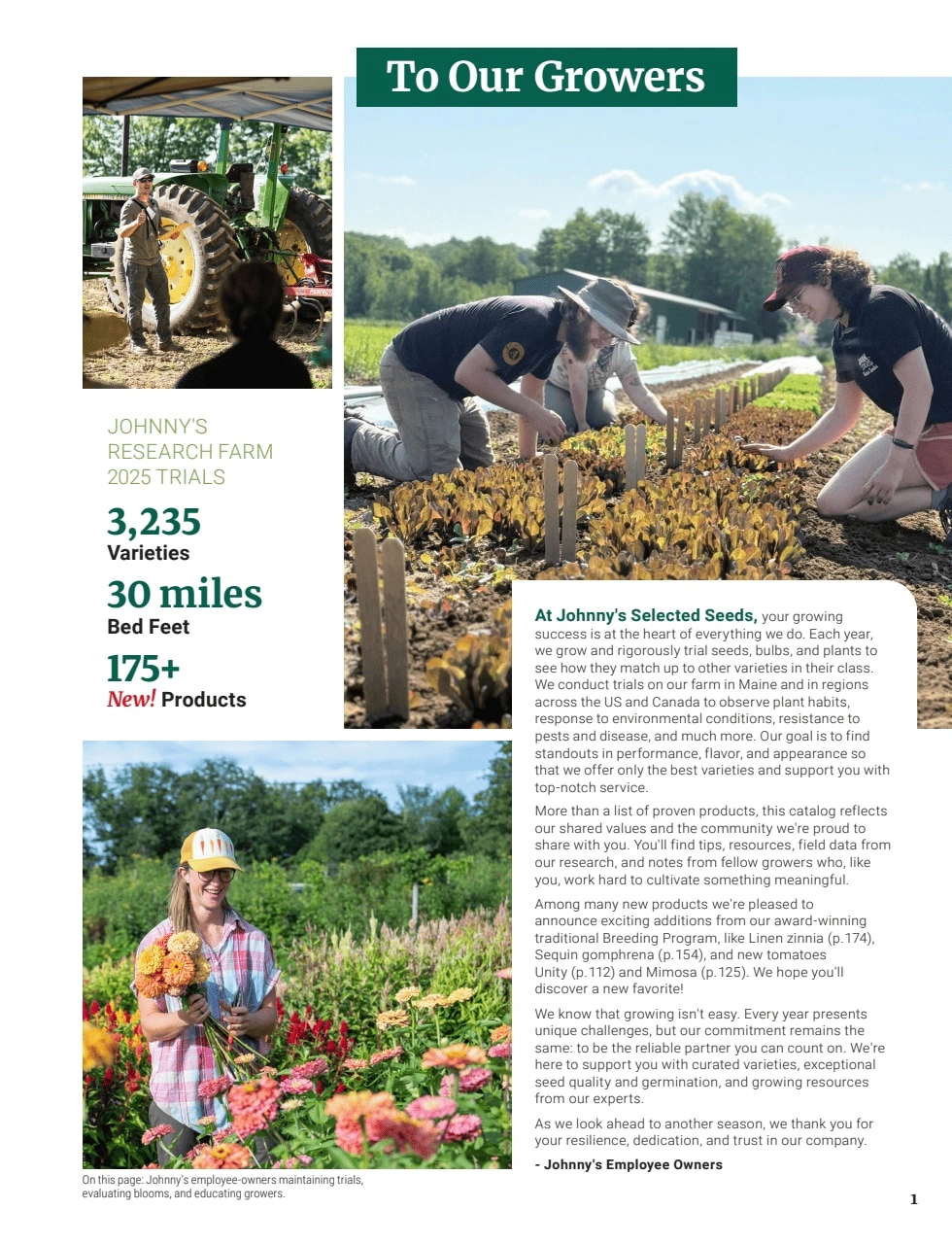 Johnny's Selected Seeds flyer page 3