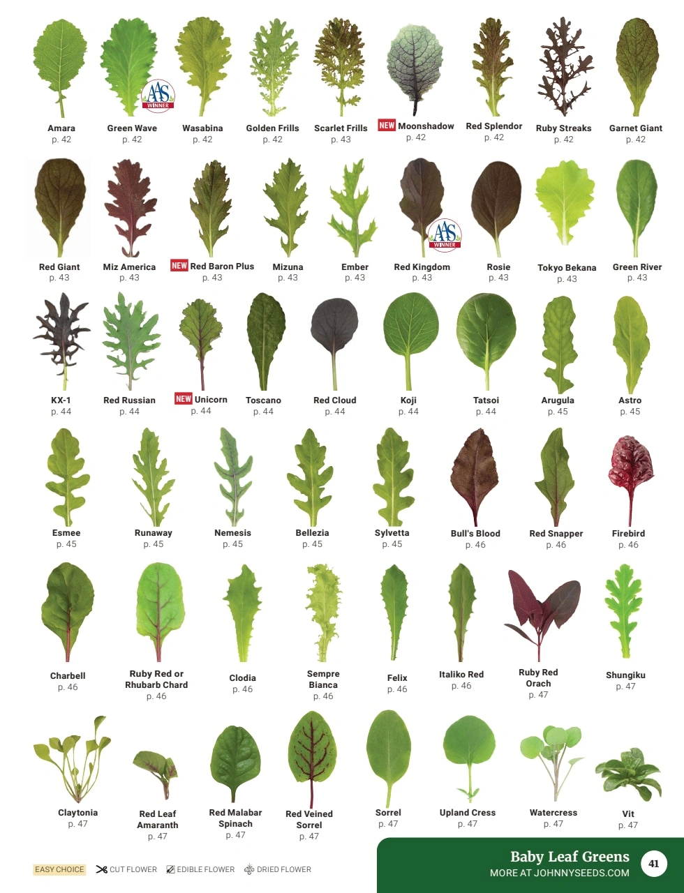 Johnny's Selected Seeds flyer page 43
