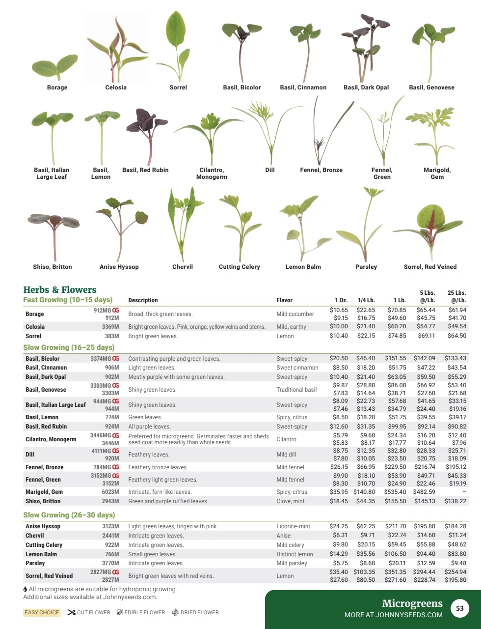 Johnny's Selected Seeds flyer page 55