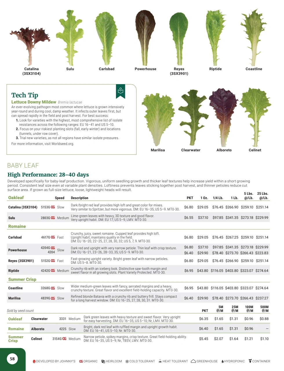 Johnny's Selected Seeds flyer page 60