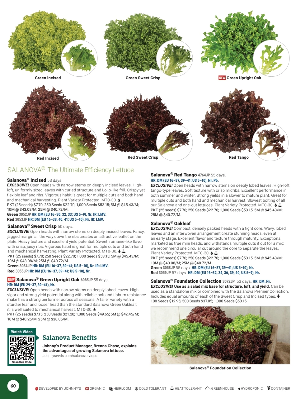 Johnny's Selected Seeds flyer page 62