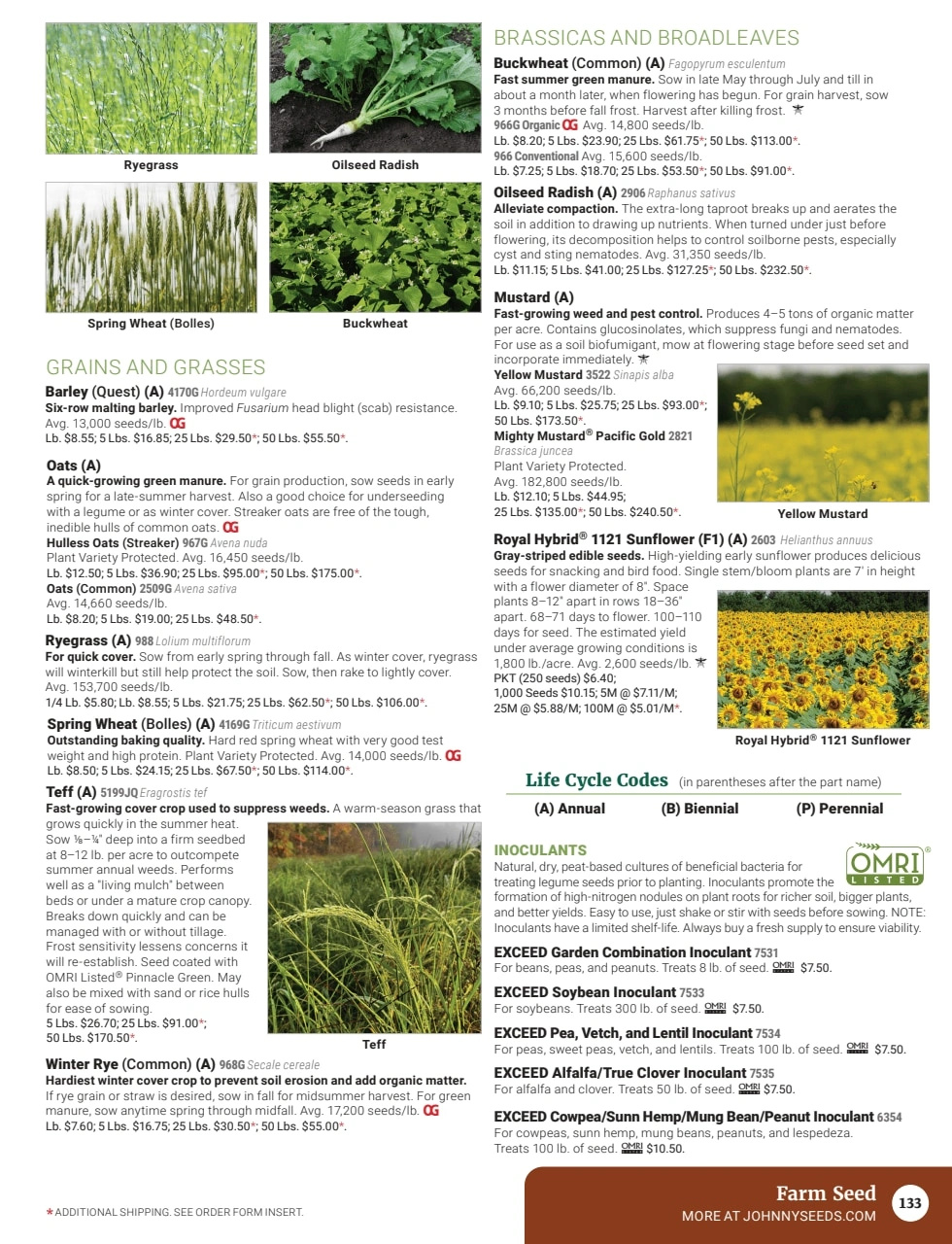 Johnny's Selected Seeds flyer page 135