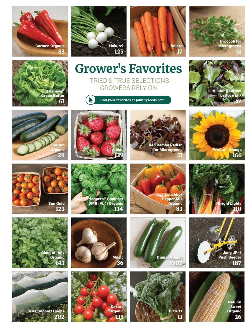 Johnny's Selected Seeds flyer page 207