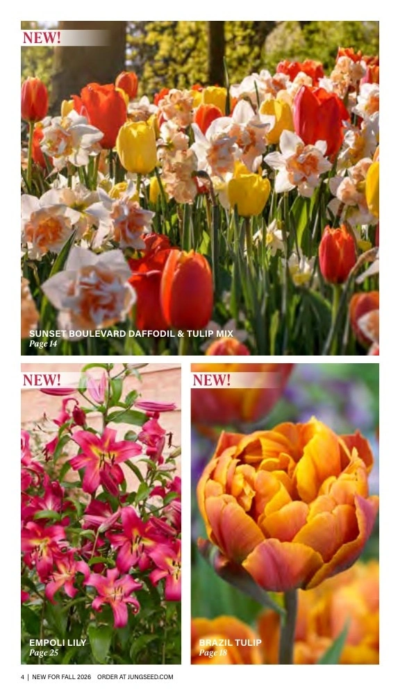 J.W. Jung Seed Company flyer page 4