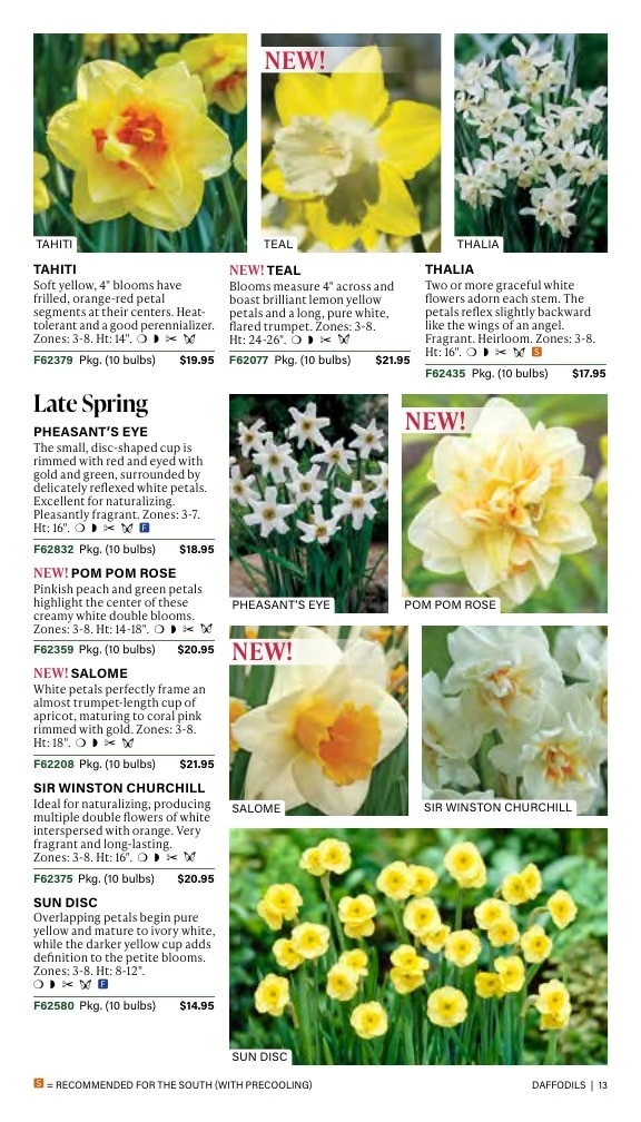 J.W. Jung Seed Company flyer page 13