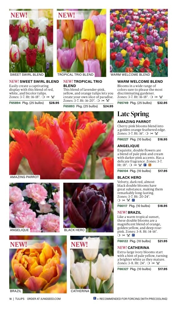 J.W. Jung Seed Company flyer page 18