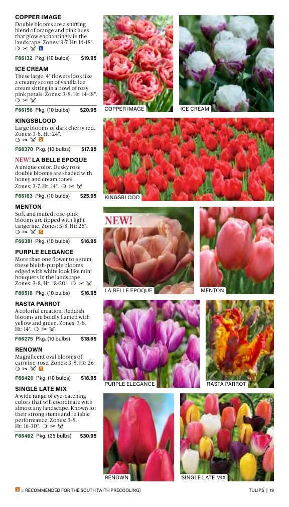 J.W. Jung Seed Company flyer page 19