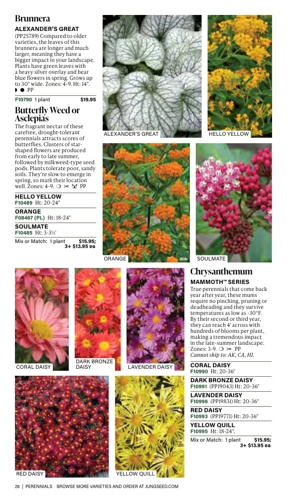 J.W. Jung Seed Company flyer page 28