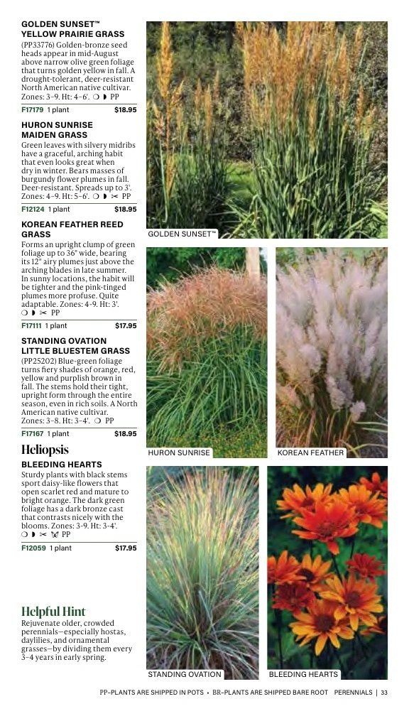 J.W. Jung Seed Company flyer page 33