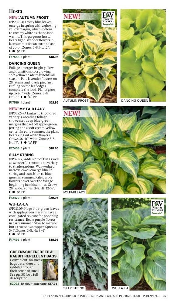 J.W. Jung Seed Company flyer page 35