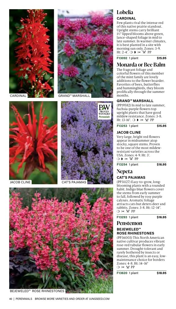 J.W. Jung Seed Company flyer page 40