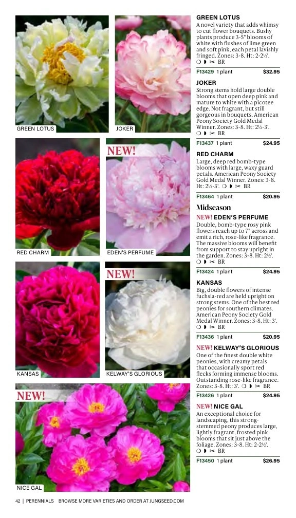 J.W. Jung Seed Company flyer page 42