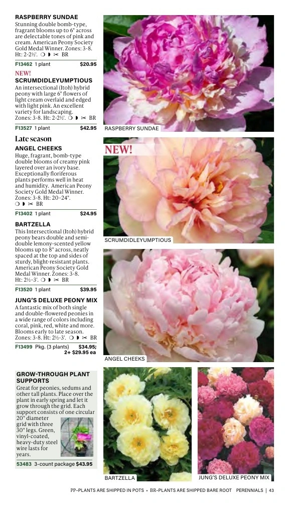J.W. Jung Seed Company flyer page 43