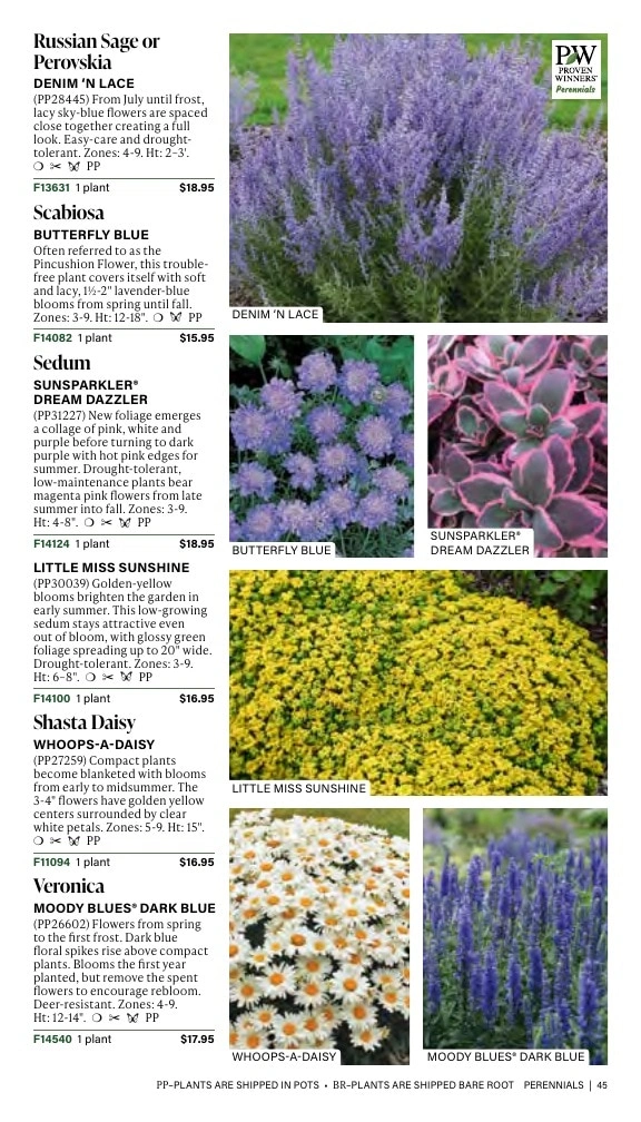 J.W. Jung Seed Company flyer page 45