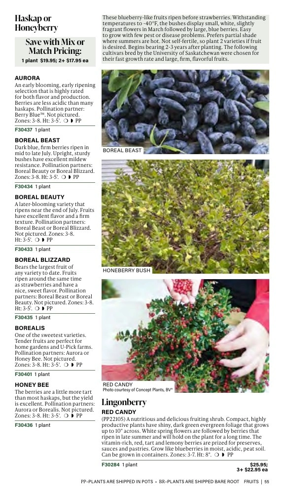 J.W. Jung Seed Company flyer page 55