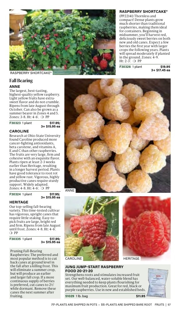 J.W. Jung Seed Company flyer page 57