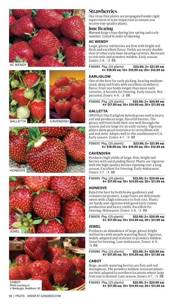J.W. Jung Seed Company flyer page 58