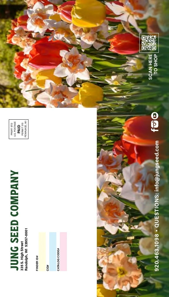 J.W. Jung Seed Company flyer page 60