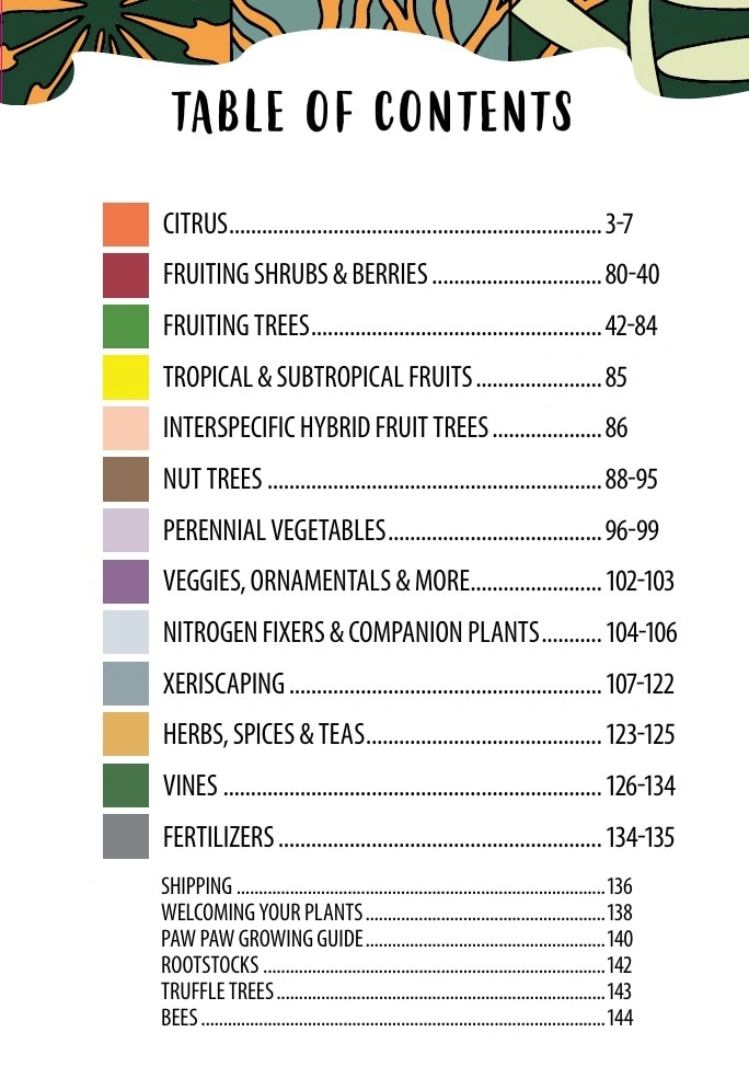 One Green World flyer page 3