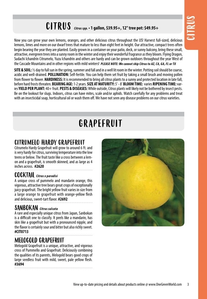 One Green World flyer page 5