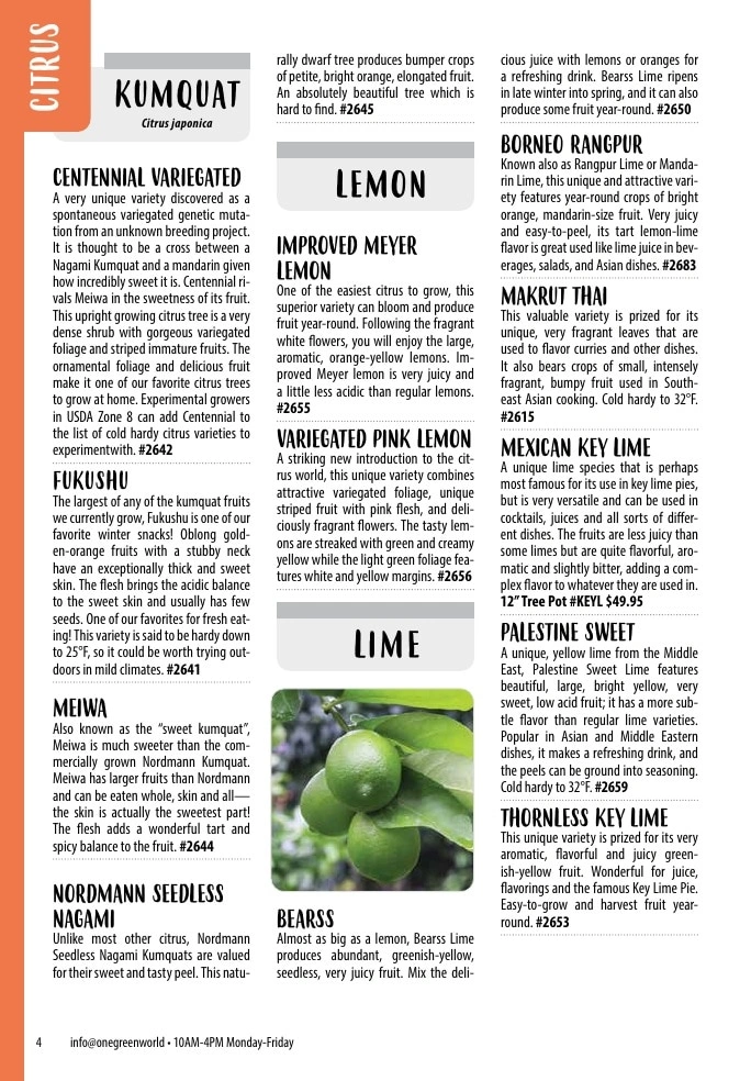One Green World flyer page 6
