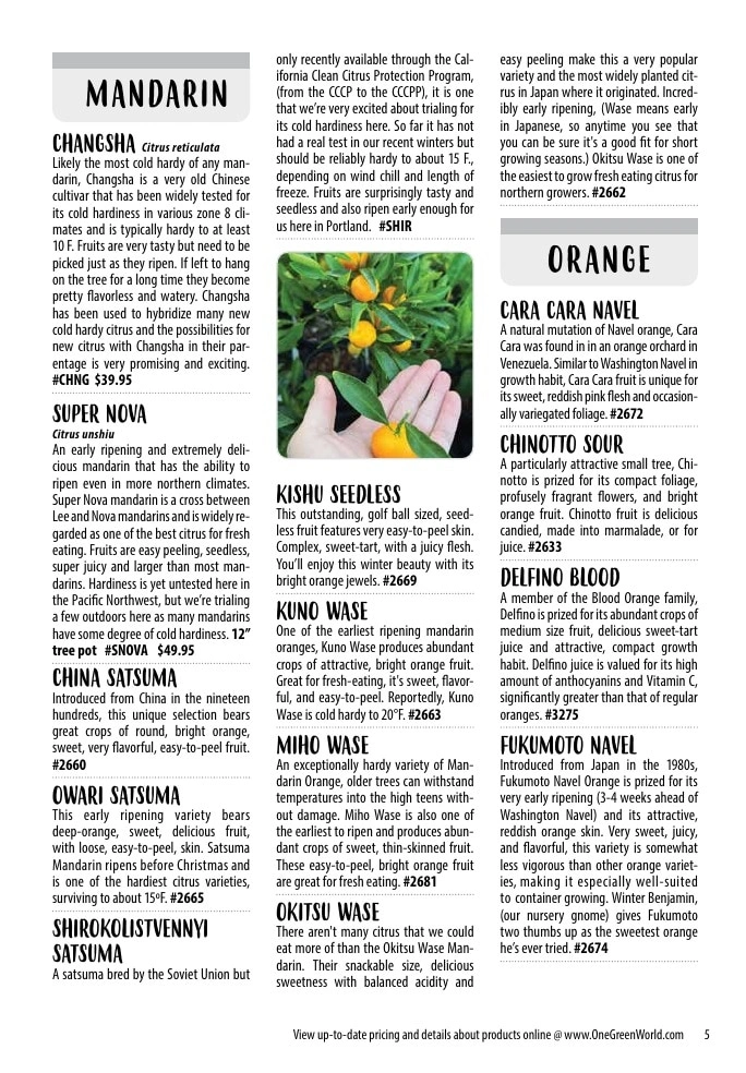 One Green World flyer page 7