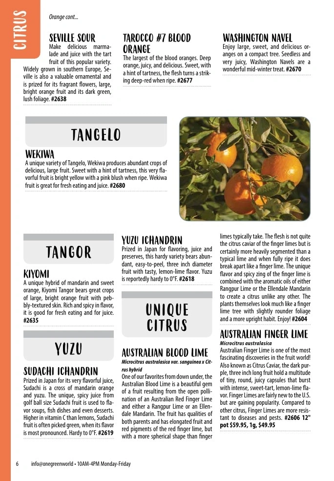 One Green World flyer page 8