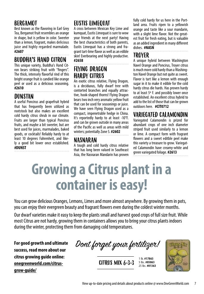 One Green World flyer page 9