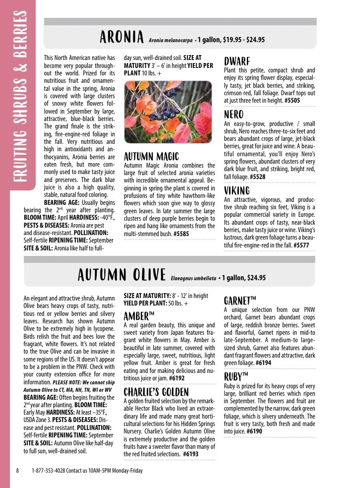 One Green World flyer page 10