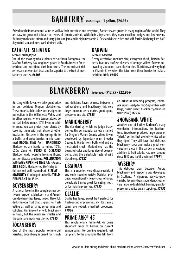 One Green World flyer page 11