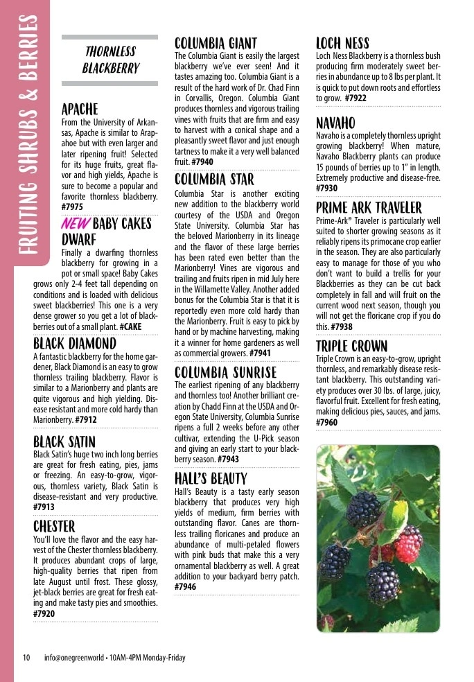 One Green World flyer page 12