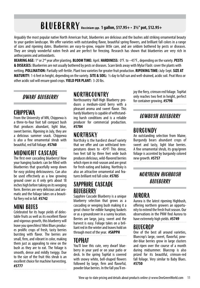 One Green World flyer page 13