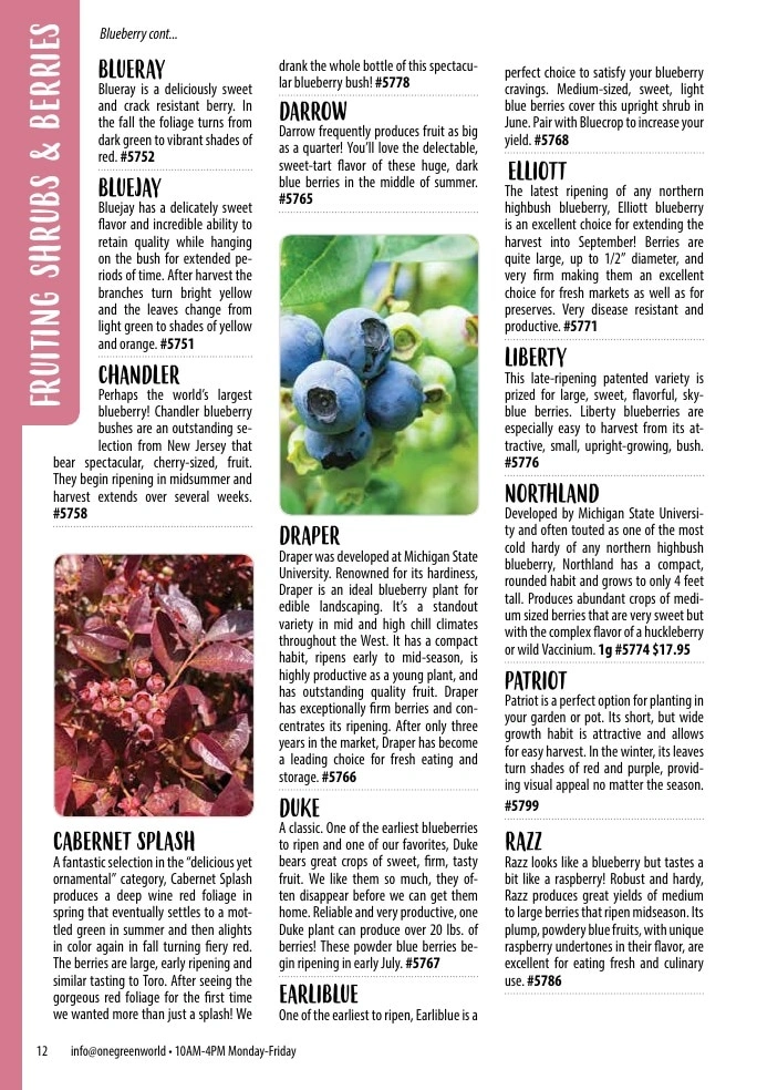 One Green World flyer page 14