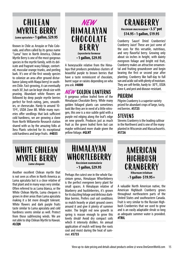 One Green World flyer page 17