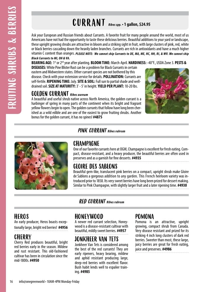 One Green World flyer page 18
