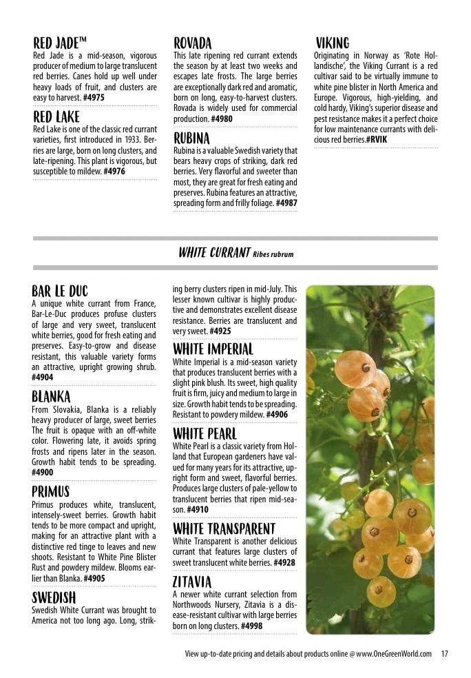 One Green World flyer page 19