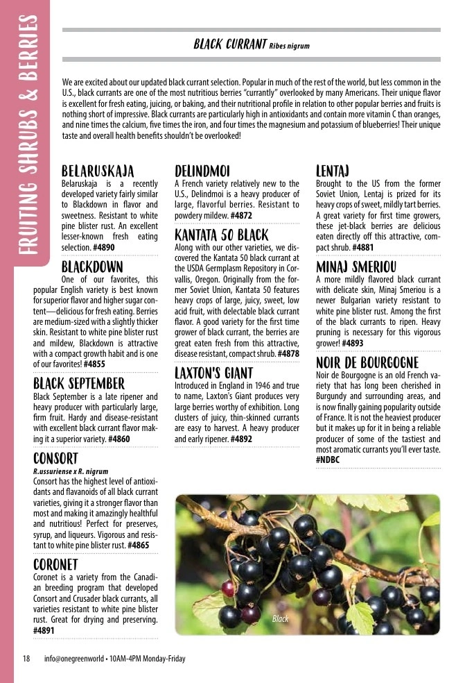 One Green World flyer page 20
