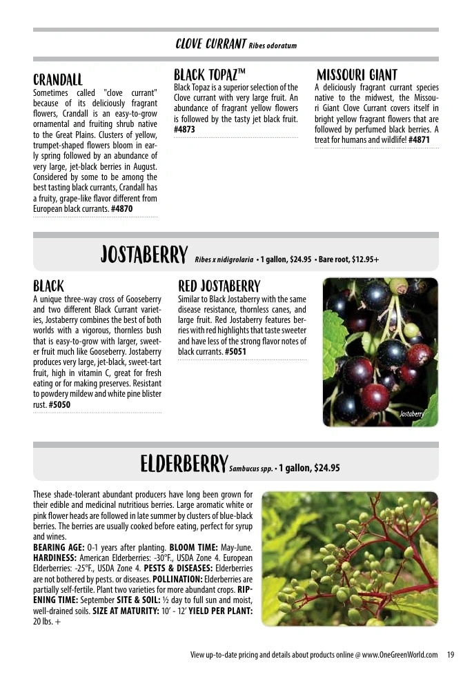 One Green World flyer page 21