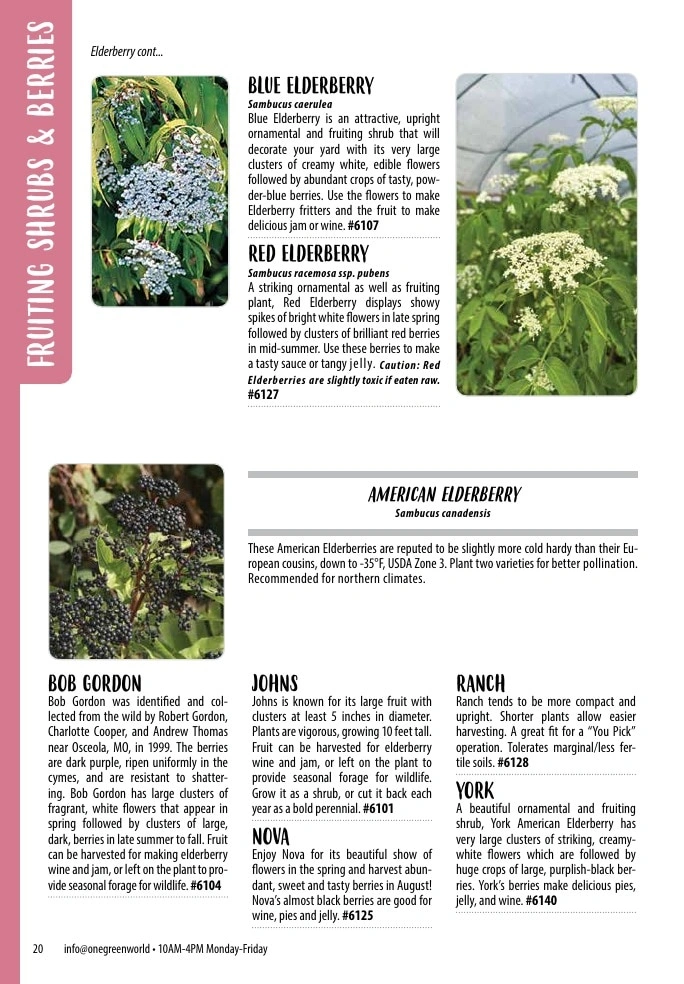 One Green World flyer page 22